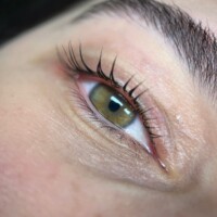 gene sprancene laminate